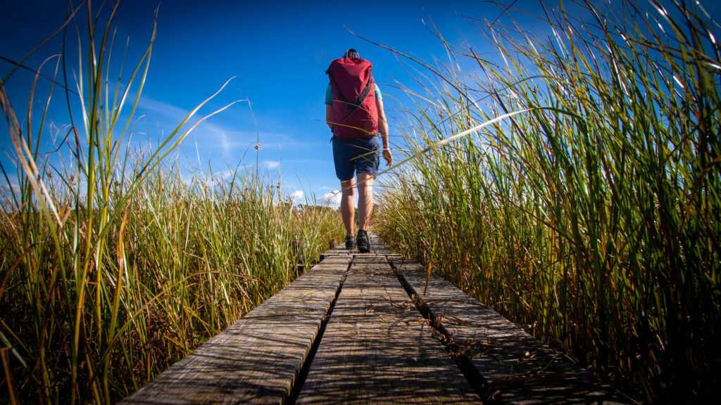 Self clearance guided hiking